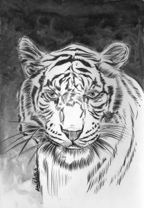 "Tiger" by Adam Wallenta